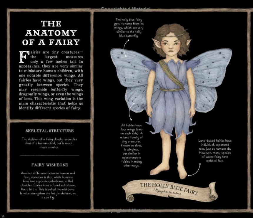 Space Faeries Types History And Types Of Fairies